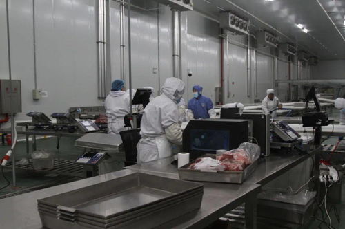 贵州黄牛产业集团大方县食品有限责任公司 投产两个月实现产值780多万元